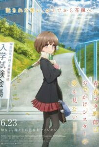 Этот Глупый Свин Не Понимает Мечту Сестры на Прогулке Постер Фильм на Animego